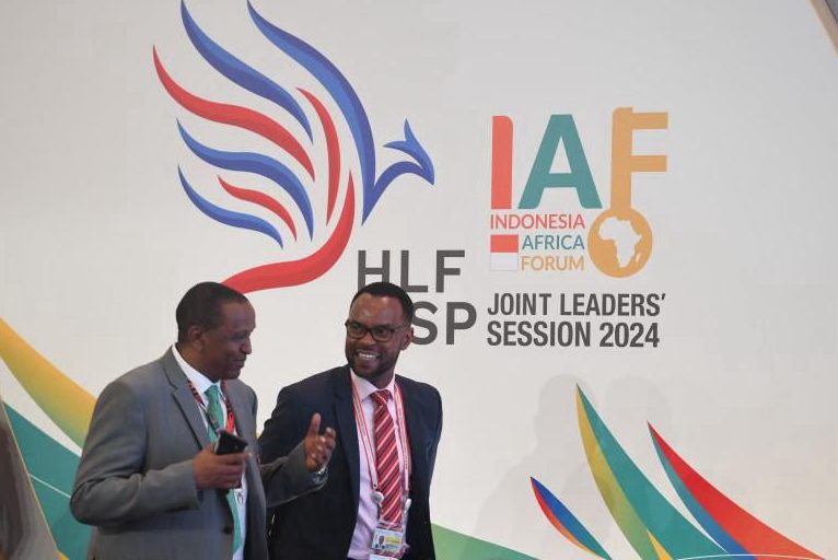 Indonesia Raih Investasi Energi Afrika Senilai US$1,5 Miliar di IAF 2024