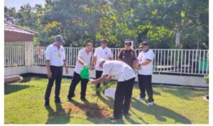 Dalam Rangka Memperingati Hari Lingkungan Hidup Sedunia, Kantor Badan Agraria Dan Tata Ruang Badan Pertanahan Nasional Kabupaten Rokan Hulu Melaksanakan Kegiatan Penanaman 100.000 Pohon Dalam Rangka Memperingati Hari Lingkungan Hidup Sedunia, Kantor Badan Agraria Dan Tata Ruang/Badan Pertanahan Nasional Kabupaten Rokan Hulu Melaksanakan Kegiatan Penanaman 100.000 Pohon