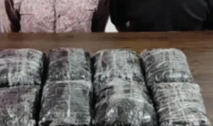 Polda Riau Sita Pil Ekstasi Senilai Rp14,1 Miliar, Empat Orang Ditangkap 2025