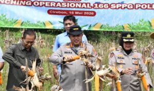 IMG-20260518-WA0001
